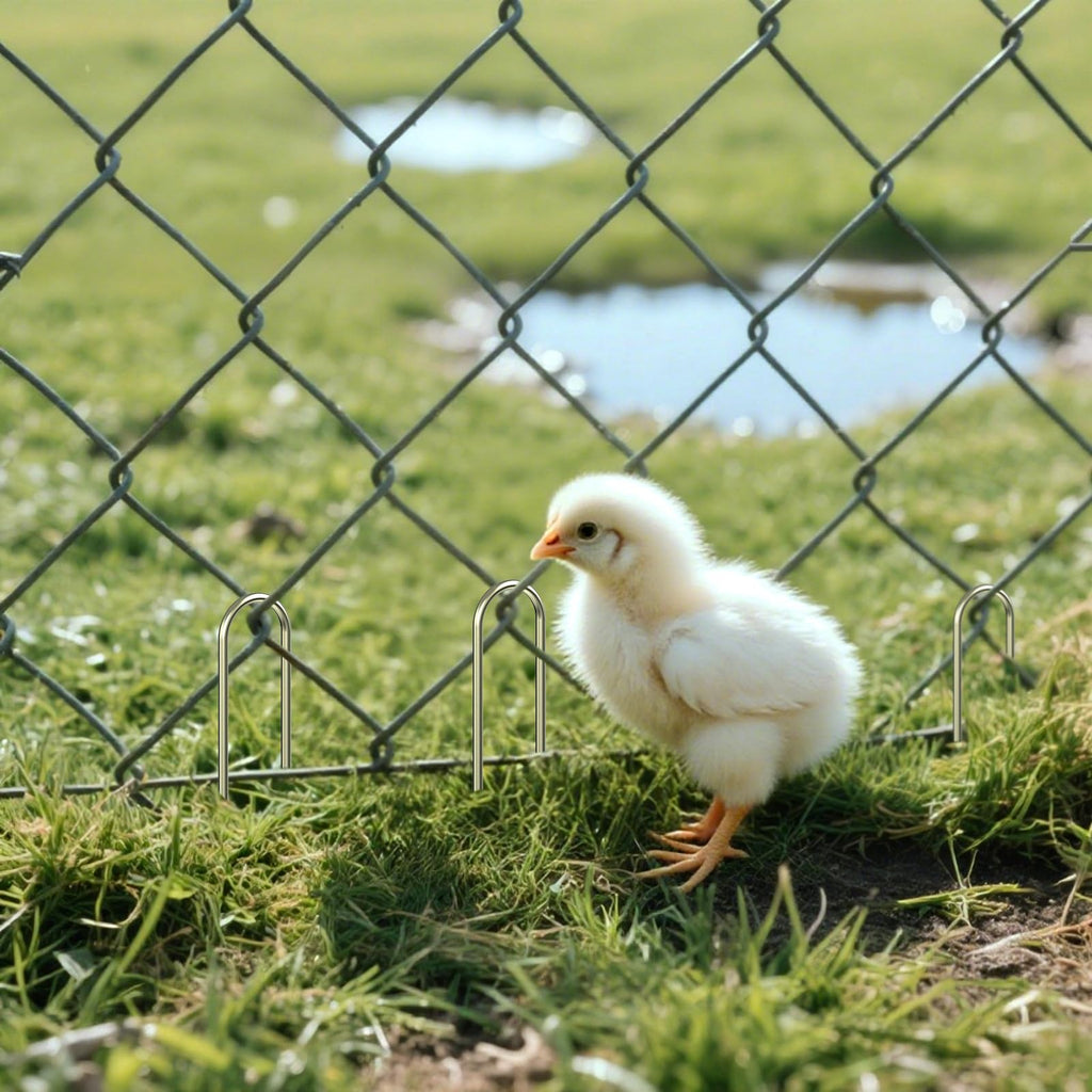 AAGUT 6-Inch Round Top Galvanized Garden Stake for Drip Hoses